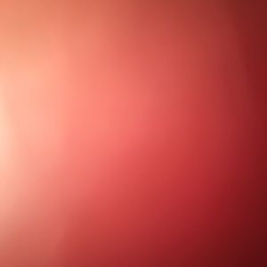 Meet your Posher, Celine